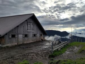 Mud outside a barn.